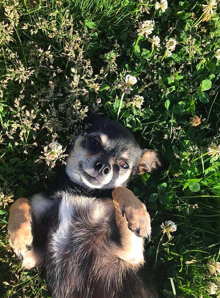 Bella
