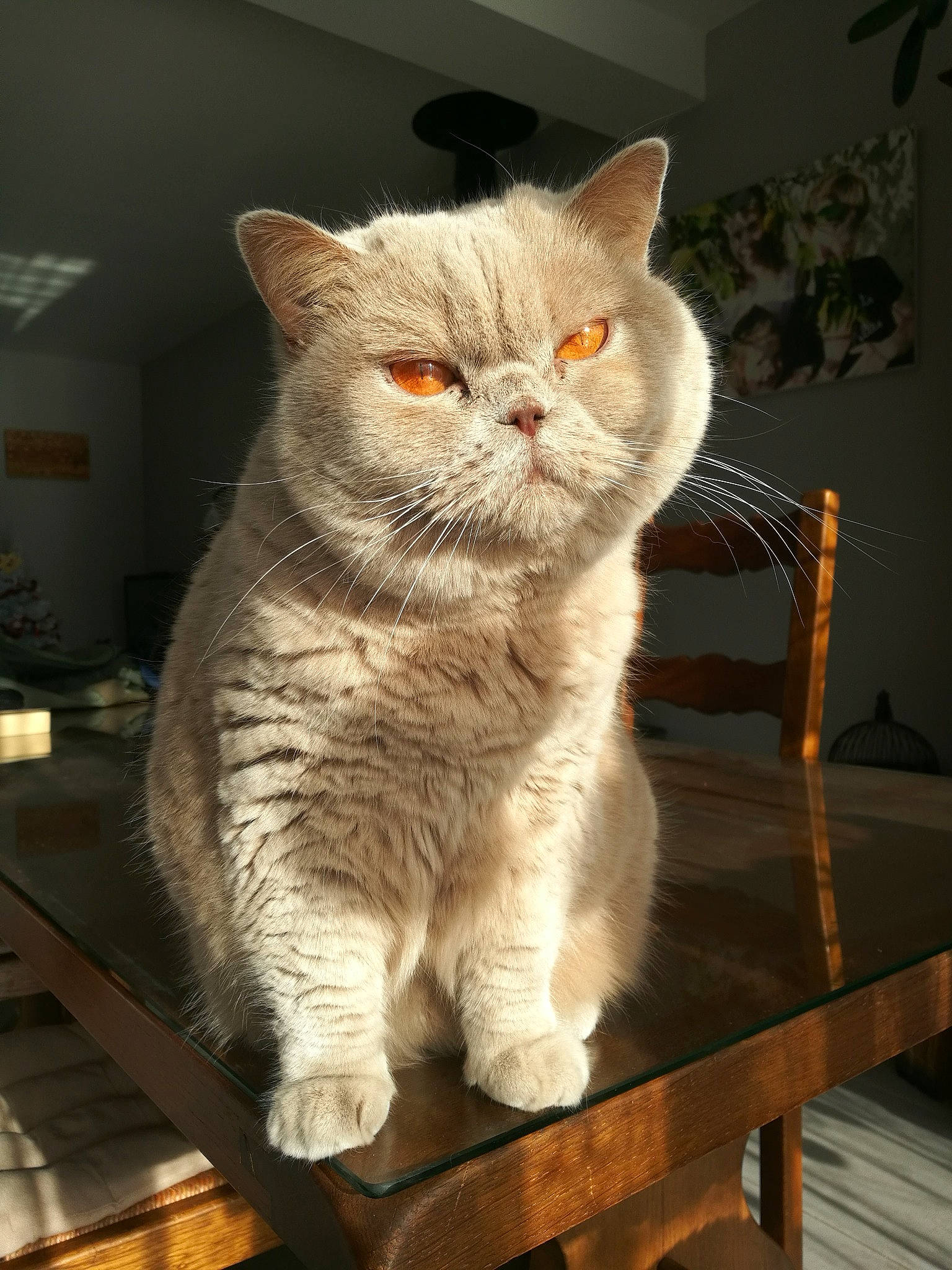 Oxana