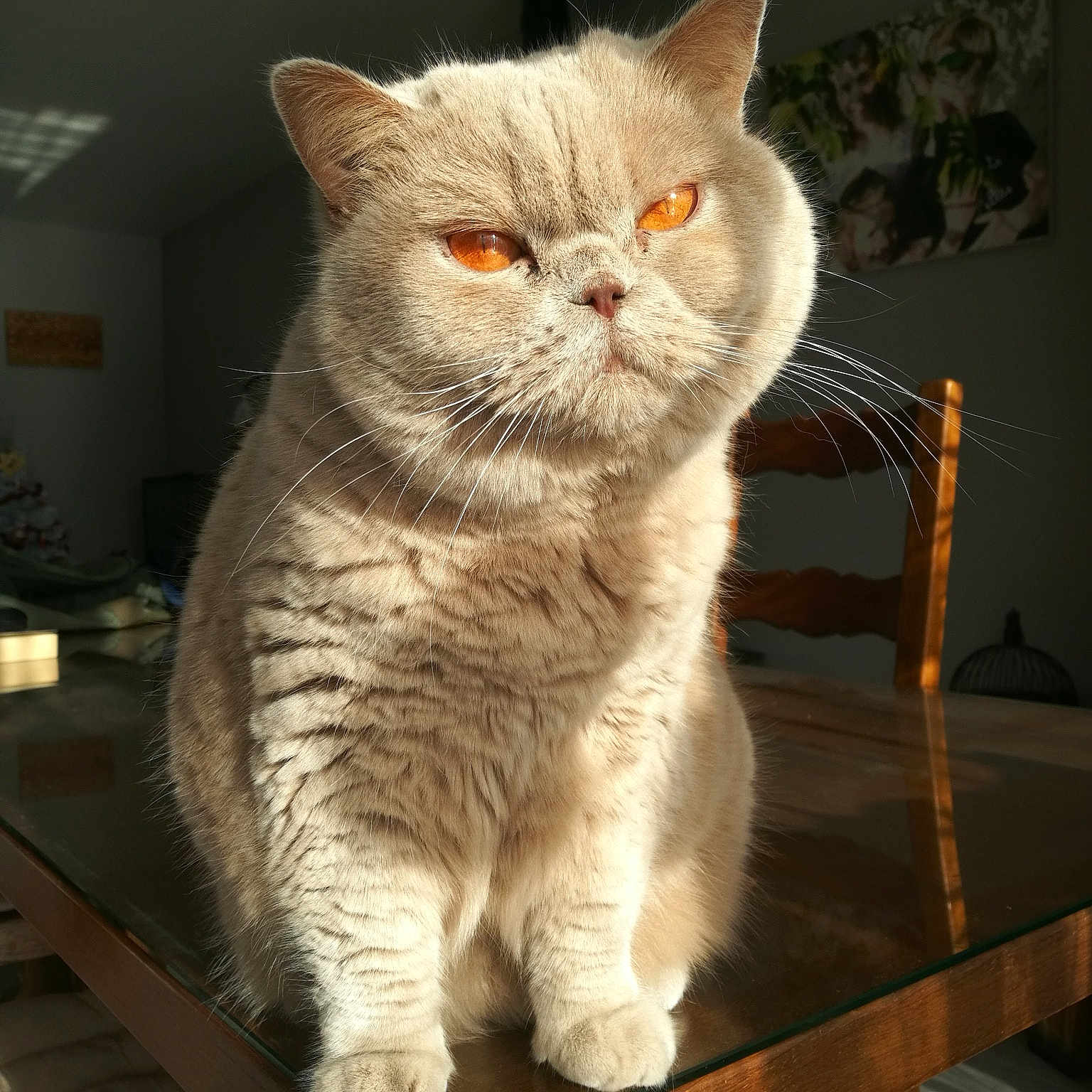 Oxana
