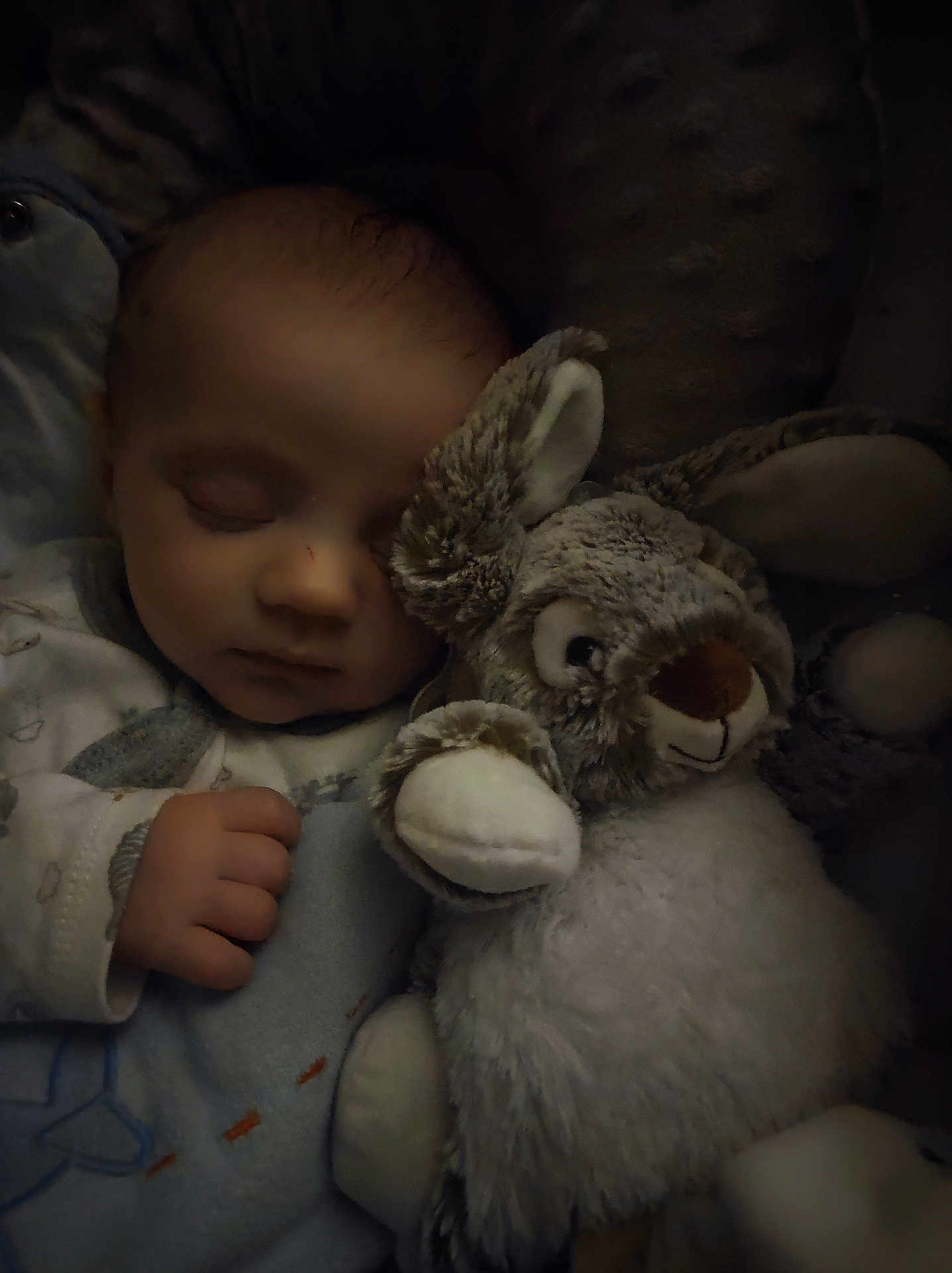 Théo participe au concours pour gagner de l'argent avec cette photo : baby, sleeping, stuffed_animal, bunny, plush_toy, cozy, dark, soft, child, peaceful, cuddle, infant, cute, hand, blanket, pajamas, closeup, indoors, rest, quiet