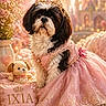 Ixia a rejoint le concours — aidez-le/la à gagner de superbes lots ! dog, shih_tzu, pet, crown, princess_dress, pink, costume, royal, tiara, portrait, indoor, castle, fairytale, flowers, teddy_bear, pillow, sparkles, sitting, decorative, cute