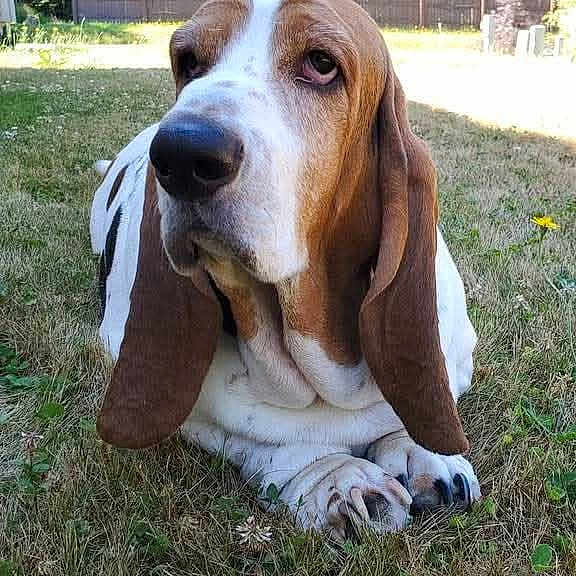 George