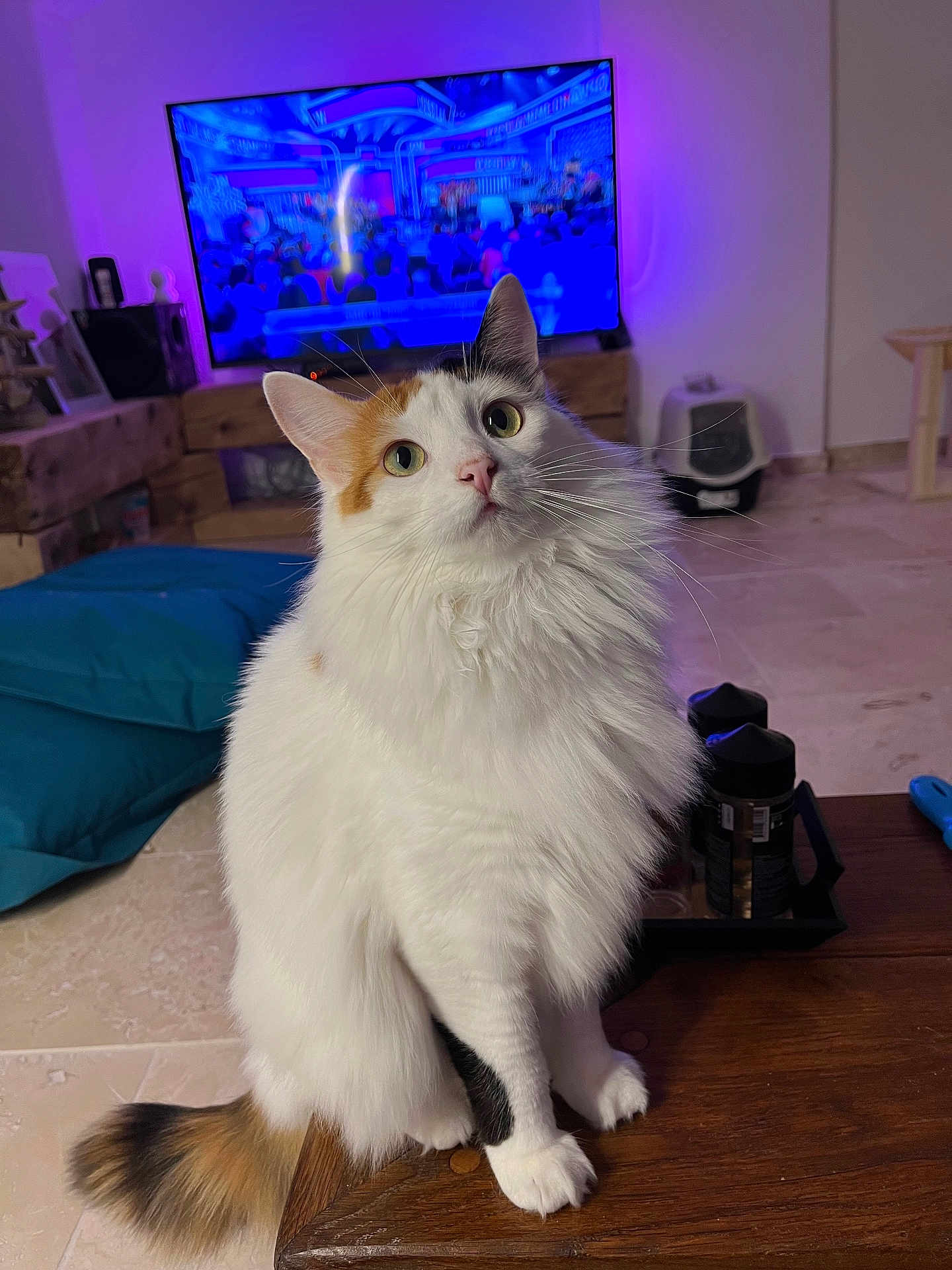 Moumoune