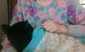 Kennidie joined the competition — help win amazing prizes! black_hair, cat, child, ear, felidae, finger, fur, kitten, long_hair, puppy, small_to_medium_sized_cats, thumb, turquoise