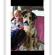 Buck joined the competition — help win amazing prizes! boy, child, puppy, dog, car_interior, seat, blanket, pacifier, cute, pet, child_seat, young, smiling, indoor, friendship, animal, toddler, playful, companionship, family