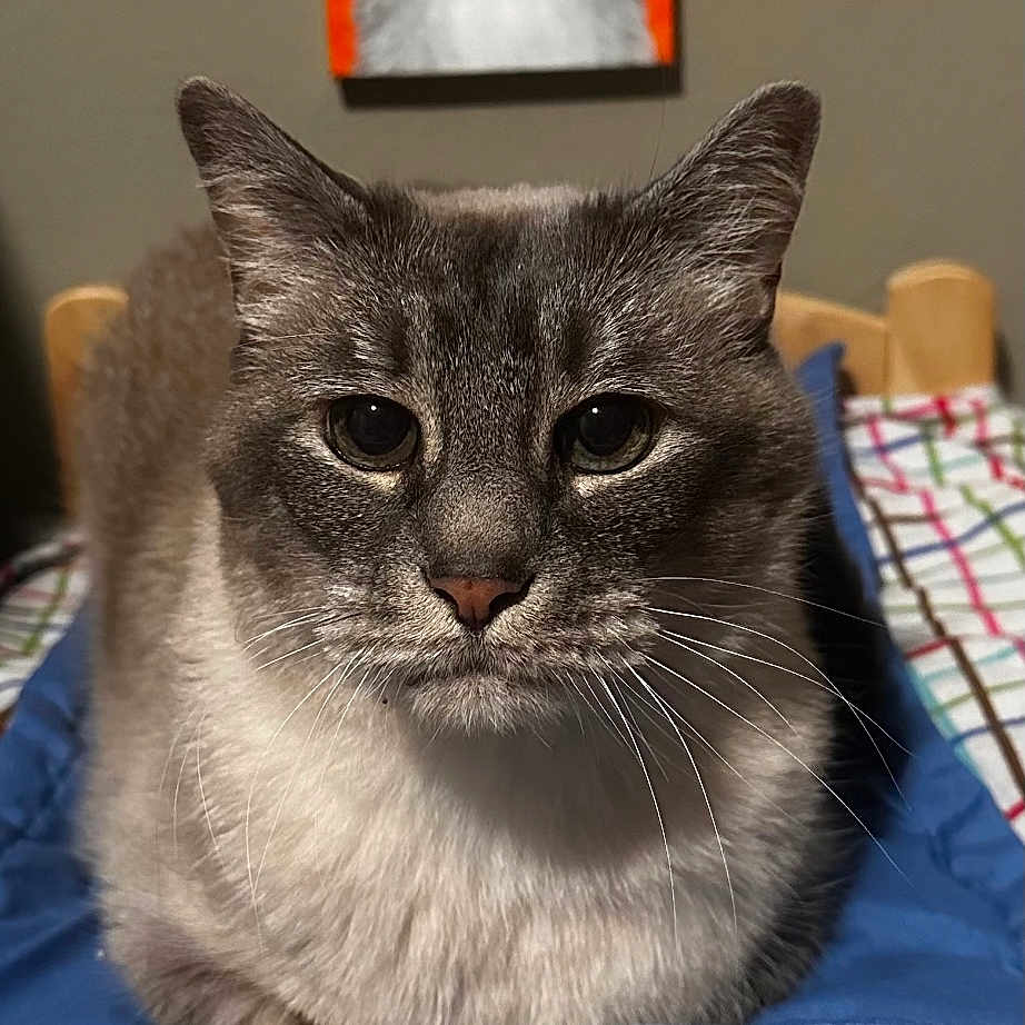 Poohbear