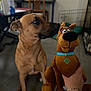 dog, plush_toy, scooby_doo, hand, bracelet, indoor, furniture, chair, pet_crate, floor, brown_dog, toy, curious, sniffing, person, casual, living_room, focus, pet, domestic