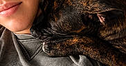 Aiko participe au concours pour gagner de l'argent avec cette photo : affection, brindle_dog, casual_clothing, close_up, colorful_shirt, comfort, companion, dog, expression, face, human_animal_bond, indoor, lying_down, person, portrait, relaxation, resting, snuggling, soft_lighting, warmth