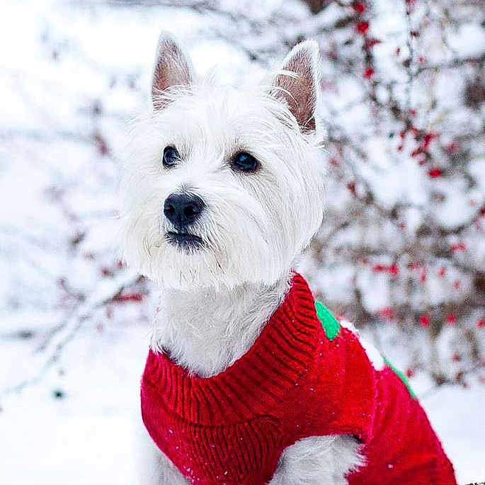 Calvin is registered to the contest to win money with this photo: