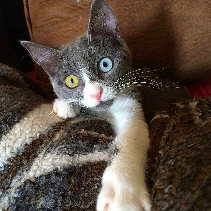 Luna