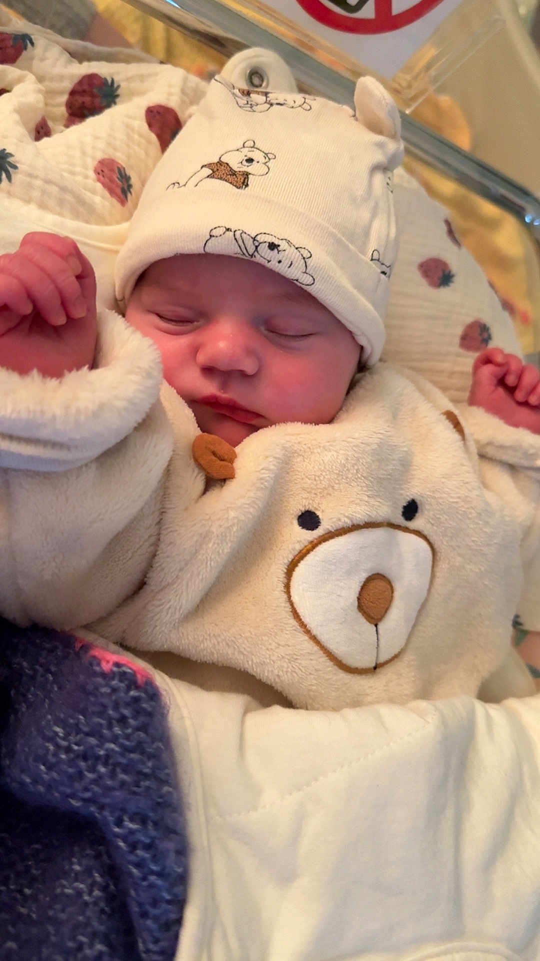 Leyana participe au concours pour gagner de l'argent avec cette photo : newborn, baby, infant, sleeping, hat, onesie, bear_design, bassinet, blanket, strawberry_pattern, knitted_blanket, swaddle, hands, closed_eyes, cozy, cute, hospital, portrait, soft_lighting, plush_texture