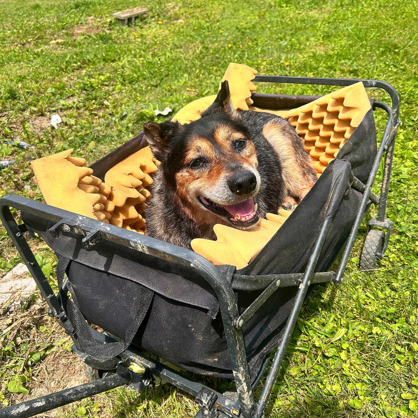 Benny