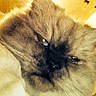 Sweet Pea is registered to the contest to win money with this photo: