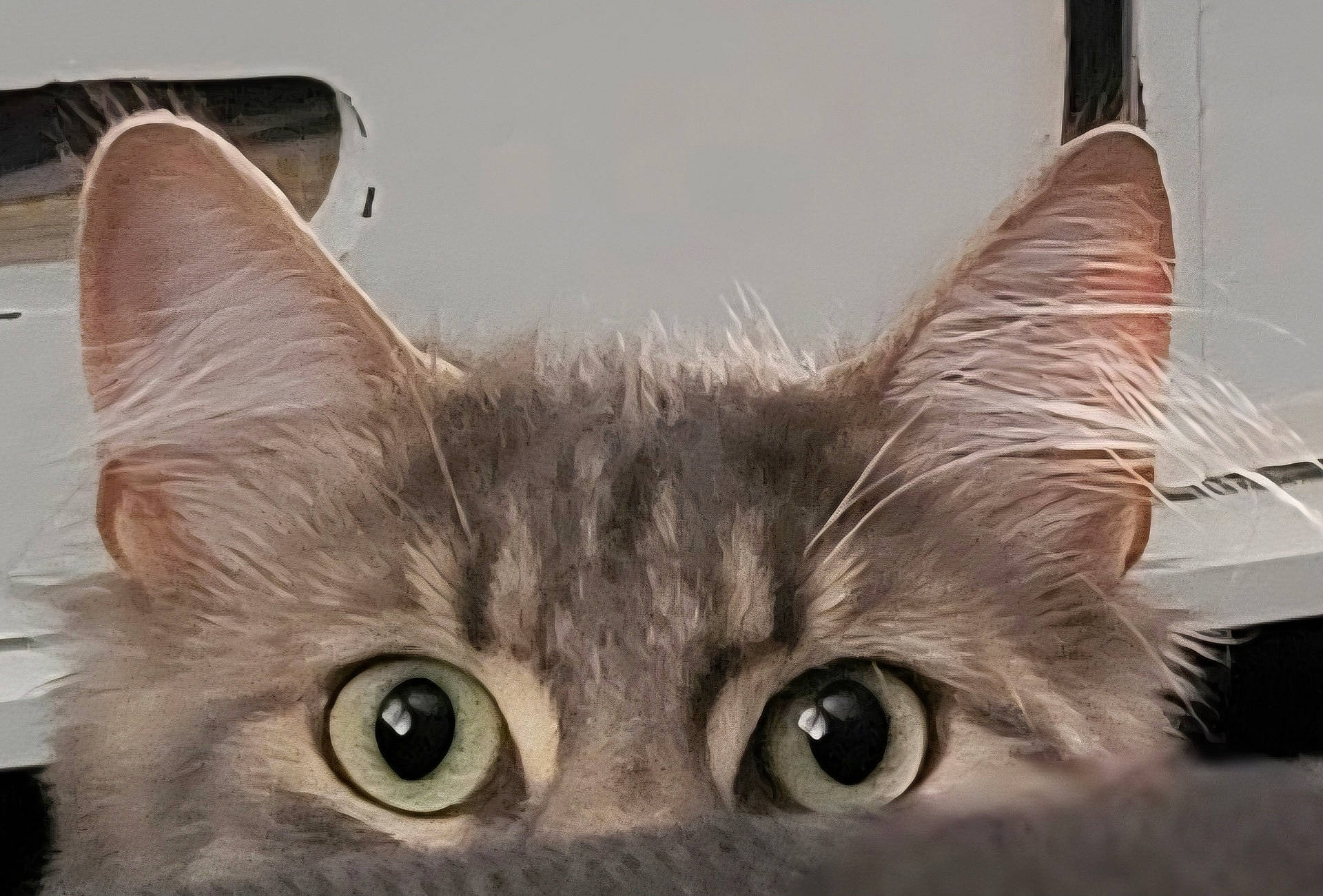 Freyja