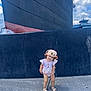 toddler, child, hat, bucket_hat, romper, sandals, concrete, ship, large_vessel, blue_sky, clouds, outdoor, standing, cute, playful, smiling, head_tilt, summer_clothing, daytime, background
