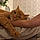 Hobbes
