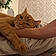 Hobbes