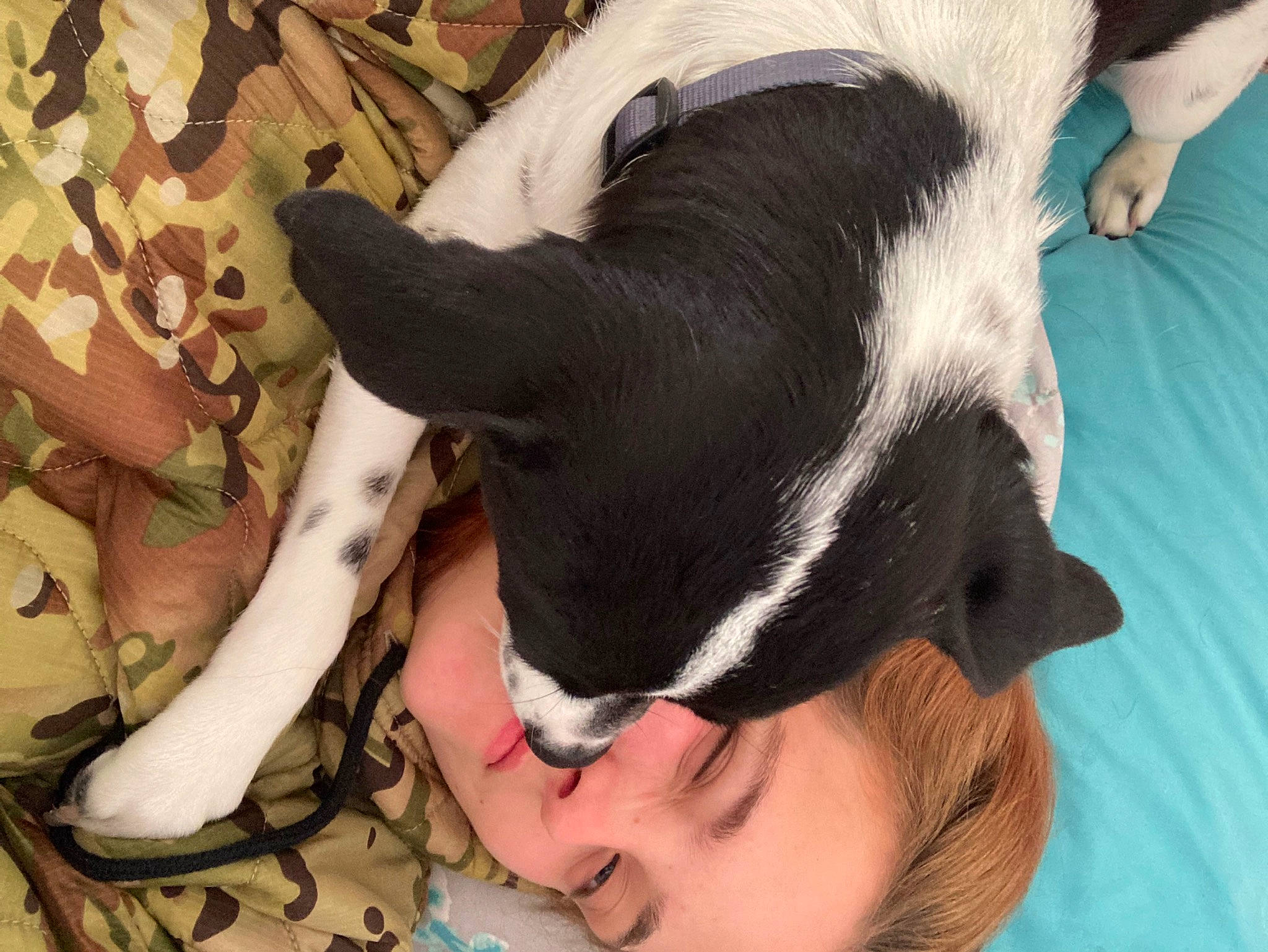 Kiki is registered to the contest to win money with this photo: carnivore, comfort, companion_dog, dog, dog_breed, ear, eyewear, fawn, fur, gesture, goggles, happy, human_leg, nose, smile, snout, sunglasses, whiskers, window, working_animal