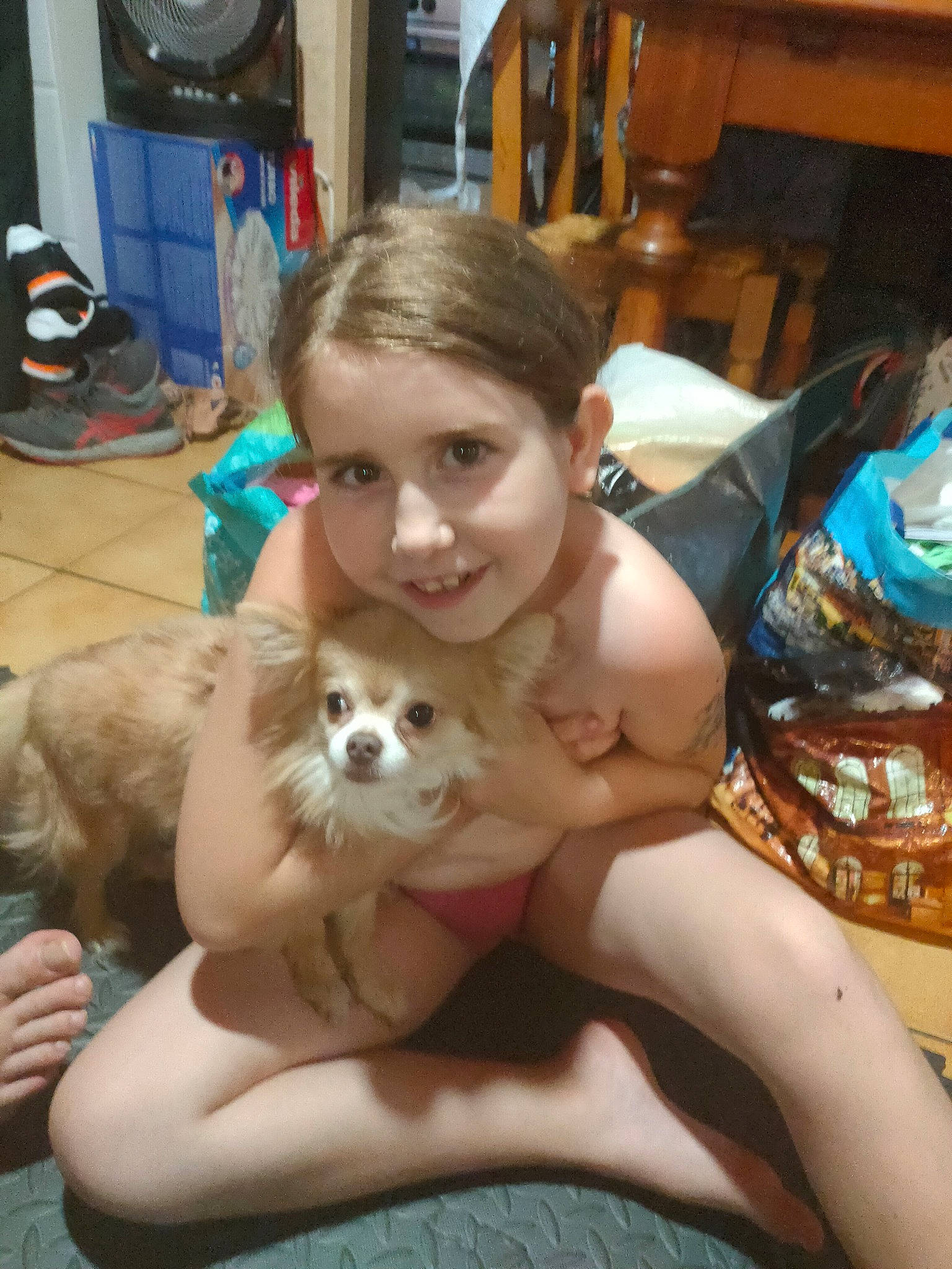 Moustik participe au concours pour gagner de l'argent avec cette photo : abdomen, carnivore, chair, chest, child, companion_dog, dog, dog_breed, ear, fawn, felidae, fun, fur, hand, head, lap, small_to_medium_sized_cats, smile, toy, trunk