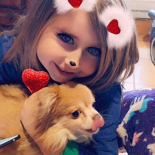 Moustik participe au concours pour gagner de l'argent avec cette photo : carnivore, companion_dog, cool, dog, dog_breed, ear, eye, eyebrow, eyelash, face, fawn, hair, happy, head, iris, mammal, nose, organ, skin, vertebrate