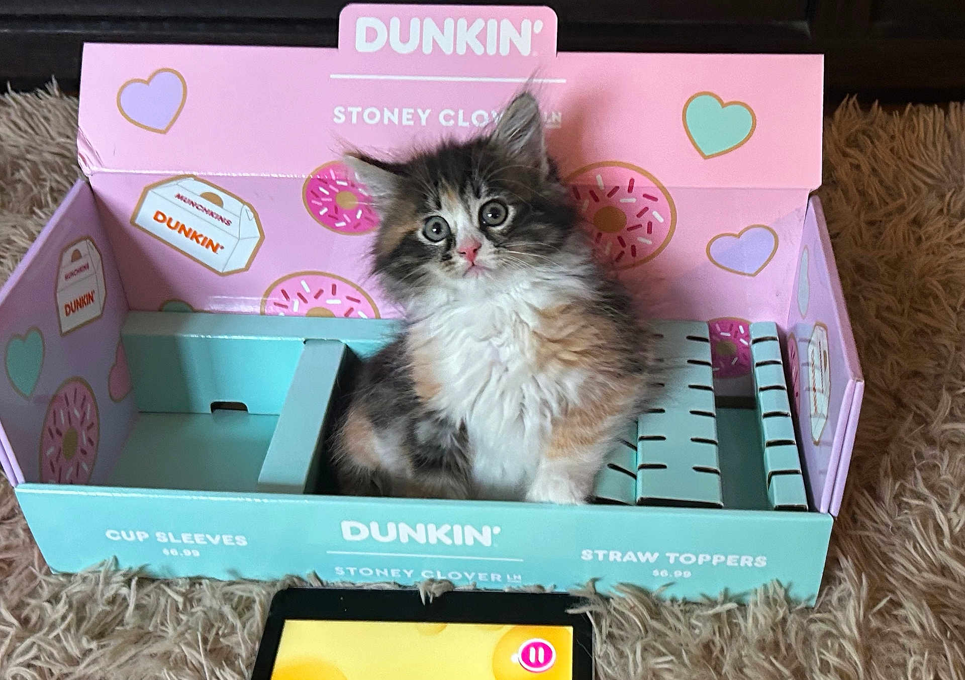 Dunkin
