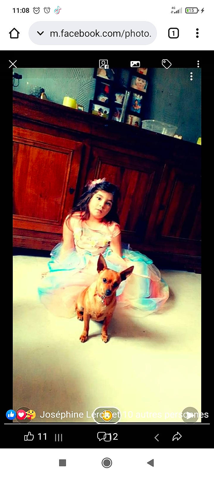 Ivana a rejoint le concours — aidez-le/la à gagner de superbes lots ! blue, carnivore, chair, companion_dog, dog, dog_breed, event, fawn, flash_photography, flooring, fun, happy, human_leg, leisure, lighting, person, sitting, sporting_group, tail, toy