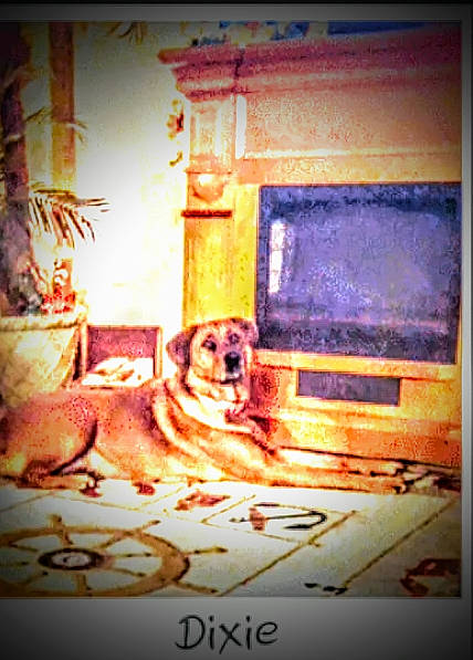 Dixie joined the competition — help win amazing prizes! art, building, carnivore, companion_dog, dog, dog_breed, door, fawn, font, heat, illustration, painting, picture_frame, rectangle, room, sporting_group, tints_and_shades, visual_arts, window, wood