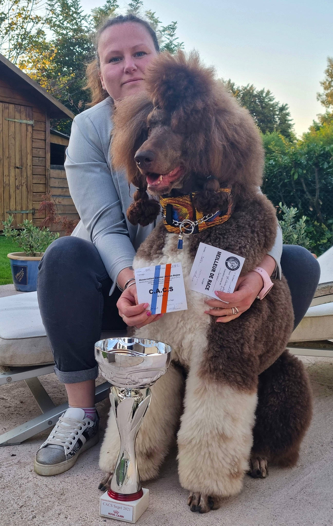 Oaxès a rejoint le concours — aidez-le/la à gagner de superbes lots ! canidae, carnivore, companion_dog, dog, dog_breed, flowerpot, fun, fur, houseplant, plant, poodle, shoe, sky, smile, sneakers, sporting_group, terrier, tree, water_dog, window