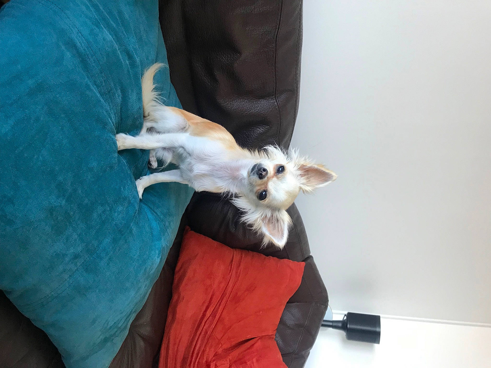 Sam