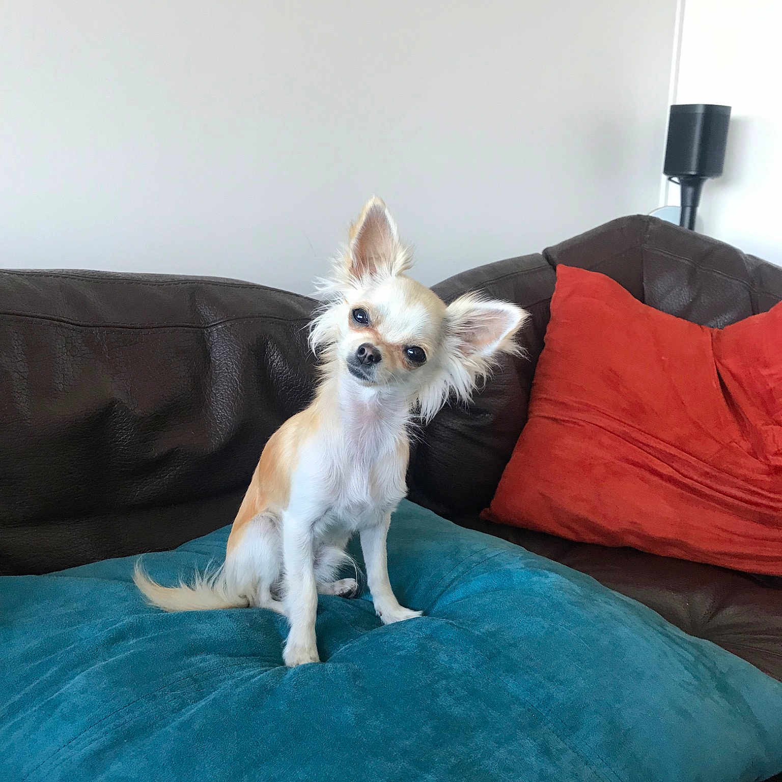 Sam