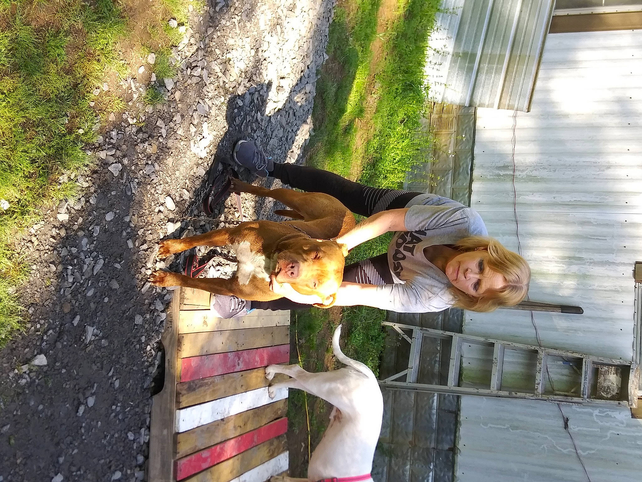 Duke joined the competition — help win amazing prizes! fawn, plant, tree