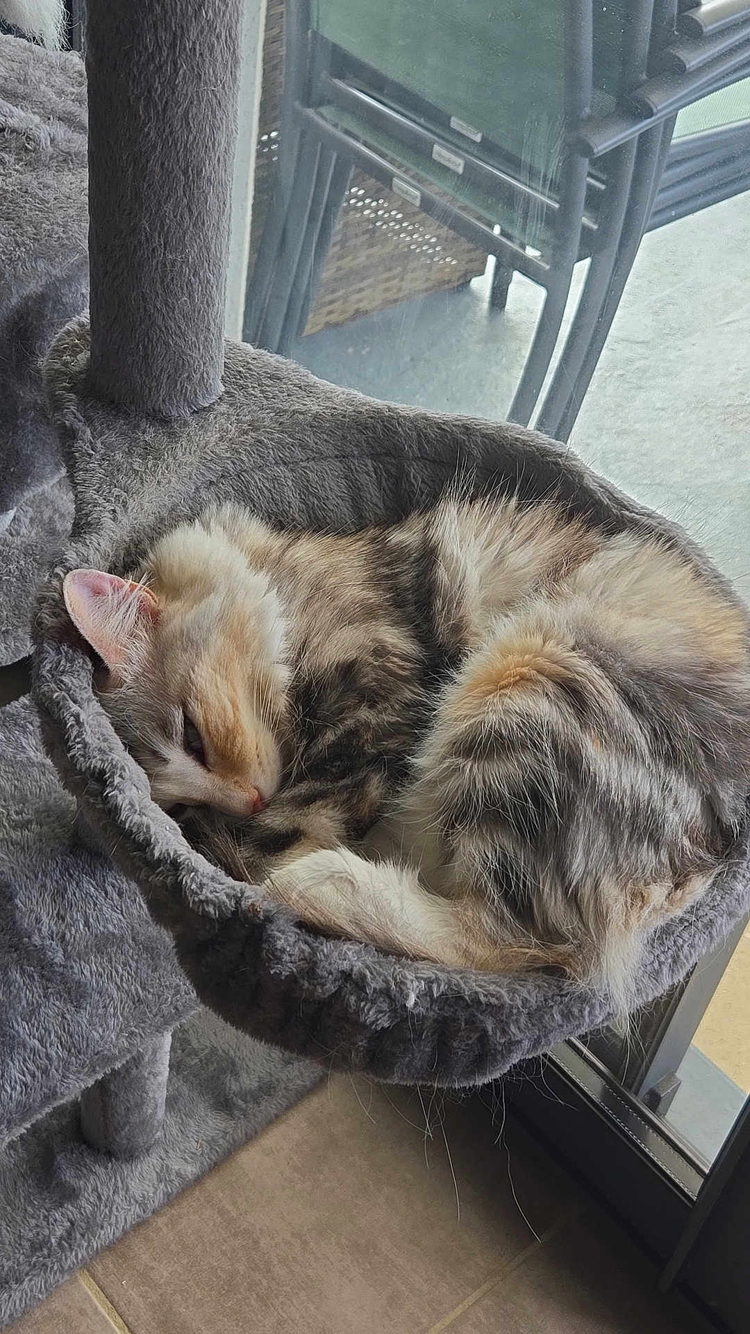 Nala