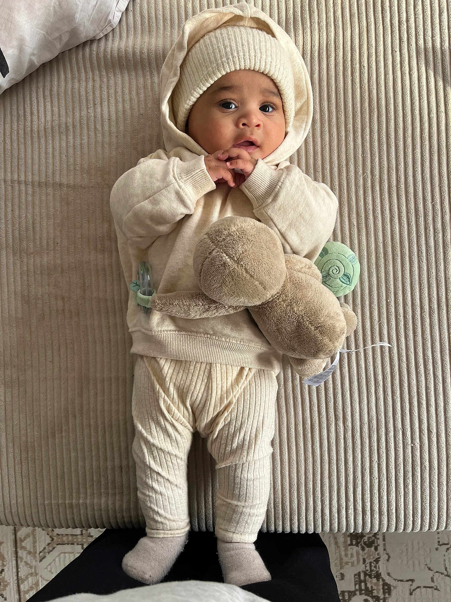 Ilyass participe au concours pour gagner de l'argent avec cette photo : baby, infant, plush_toy, turtle, knit_hat, knit_pants, hoodie, socks, beige, soft_texture, blanket, floor, curious_expression, cute, child, lying_down, indoors, portrait, warm_clothing, baby_clothes
