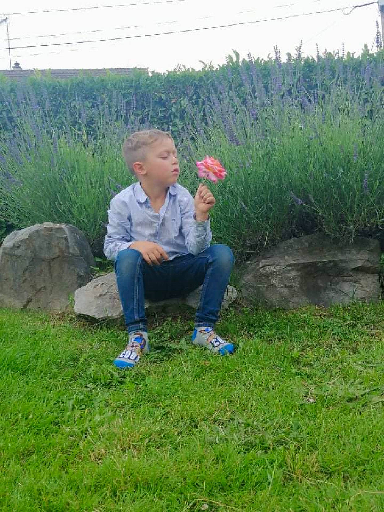 Leo a rejoint le concours — aidez-le/la à gagner de superbes lots ! botany, electric_blue, grass, grassland, groundcover, landscape, lawn, leaf, leisure, meadow, natural_environment, people_in_nature, person, plant, plant_community, prairie, shrub, sky, soil, summer