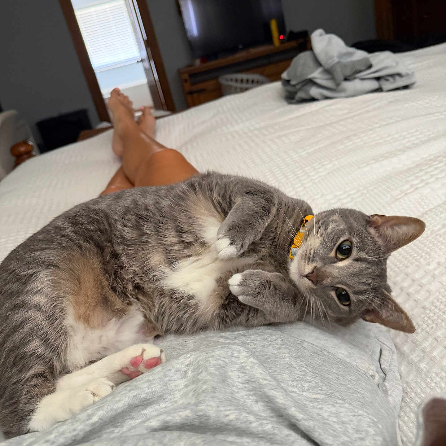 Frankie