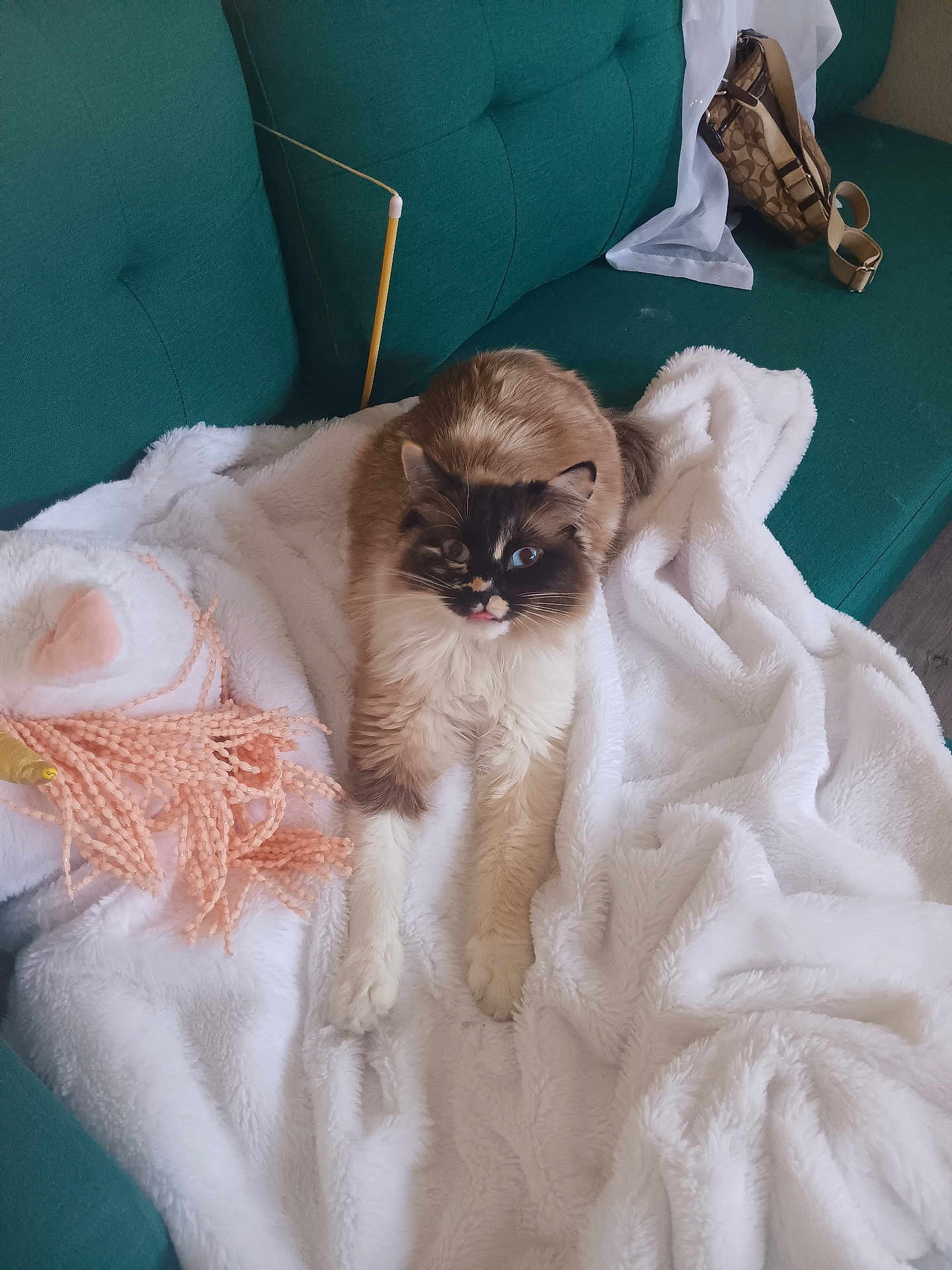 Mama