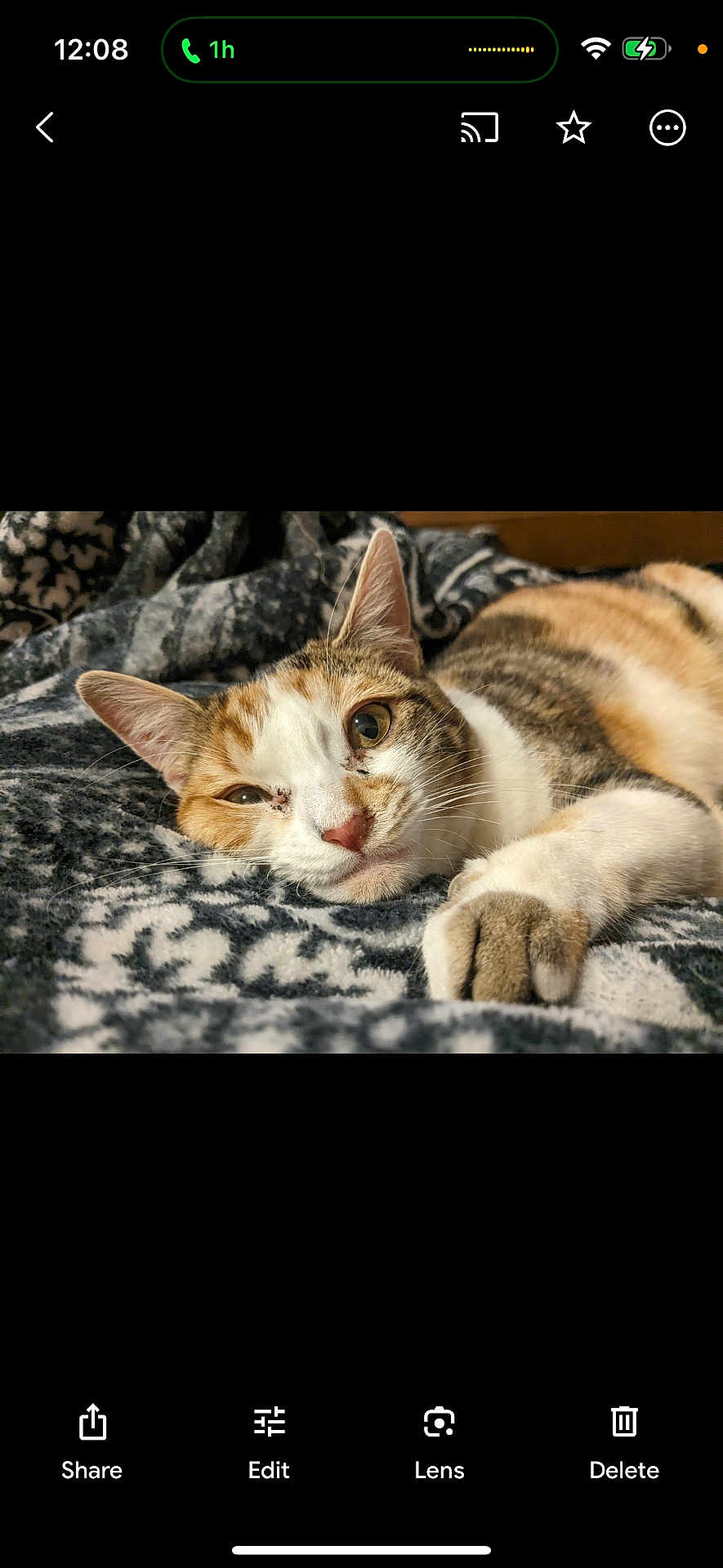 Nala