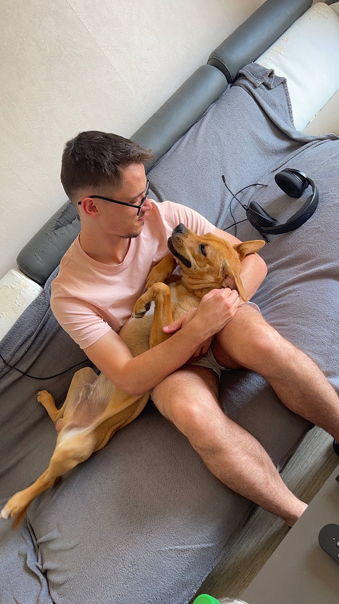 Oslow participe au concours pour gagner de l'argent avec cette photo : barefoot, carnivore, comfort, companion_dog, eyewear, fawn, flooring, foot, human_body, joint, knee, lap, leg, mammal, shoe, shoulder, sneakers, sunglasses, thigh, vertebrate