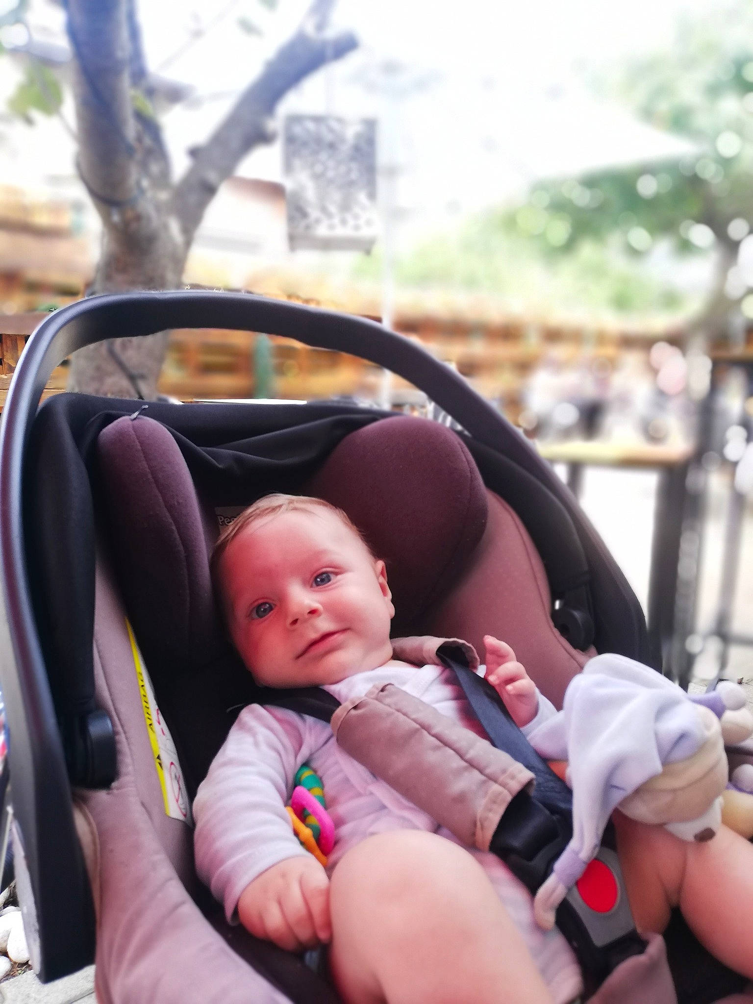 Nayan a rejoint le concours — aidez-le/la à gagner de superbes lots ! baby, baby_carriage, baby_products, baby_toddler_clothing, child, comfort, eye, finger, fun, grass, hand, happy, leisure, people, people_in_nature, person, recreation, sitting, skin, toddler