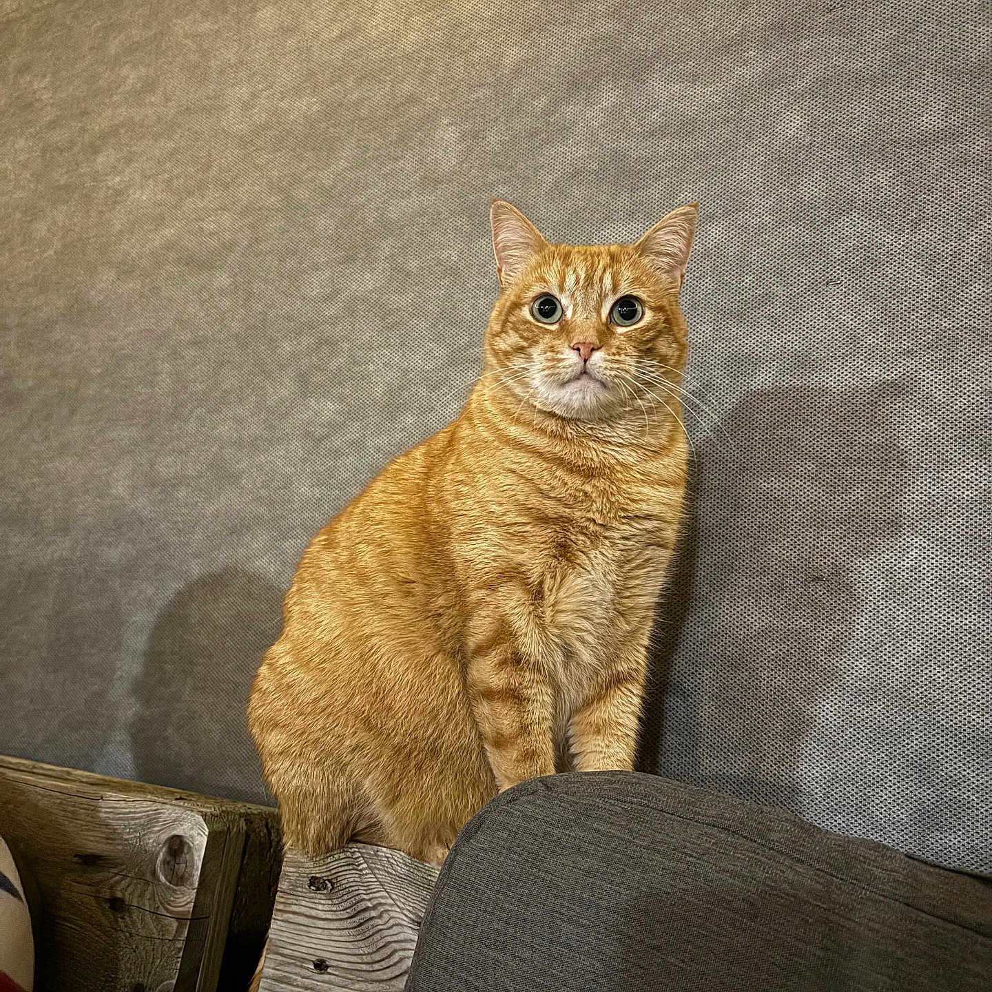 Ti Chat