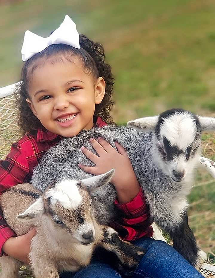 Lilyanna joined the competition — help win amazing prizes! baby, child, cow_goat_family, goat, goat_antelope, goats, joy, livestock, male, mammal, person, vertebrate