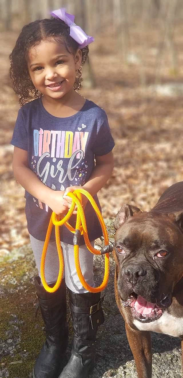 Lilyanna joined the competition — help win amazing prizes! american_pit_bull_terrier, boxer, bulldog, bullmastiff, canidae, carnivore, child, companion_dog, dog, dog_breed, dog_walking, fawn, french_bulldog, joy, leash, non_sporting_group, person, pit_bull, snout, staffordshire_bull_terrier