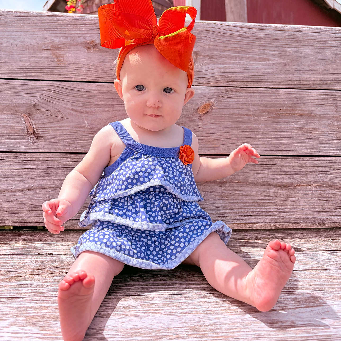 Stella