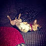 Ralfie is registered to the contest to win money with this photo: