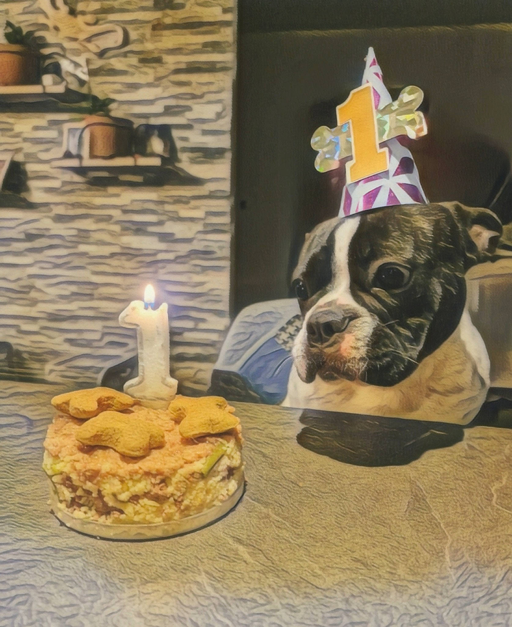 Talés a rejoint le concours — aidez-le/la à gagner de superbes lots ! birthday_candle, cake, cake_decorating, candle, candle_holder, carnivore, companion_dog, cuisine, dessert, dog, dog_breed, fawn, food, ingredient, plate, snout, table, tableware, window, working_animal