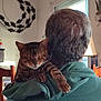 cat, tabby_cat, person, green_hoodie, back_view, indoor, window, natural_light, wall_decor, chair, relaxation, pet, comfort, feline, animal, home, cozy, resting, shoulder, domestic