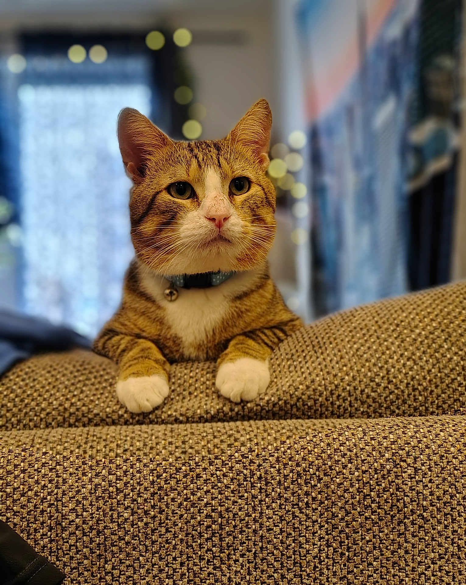 Ryder