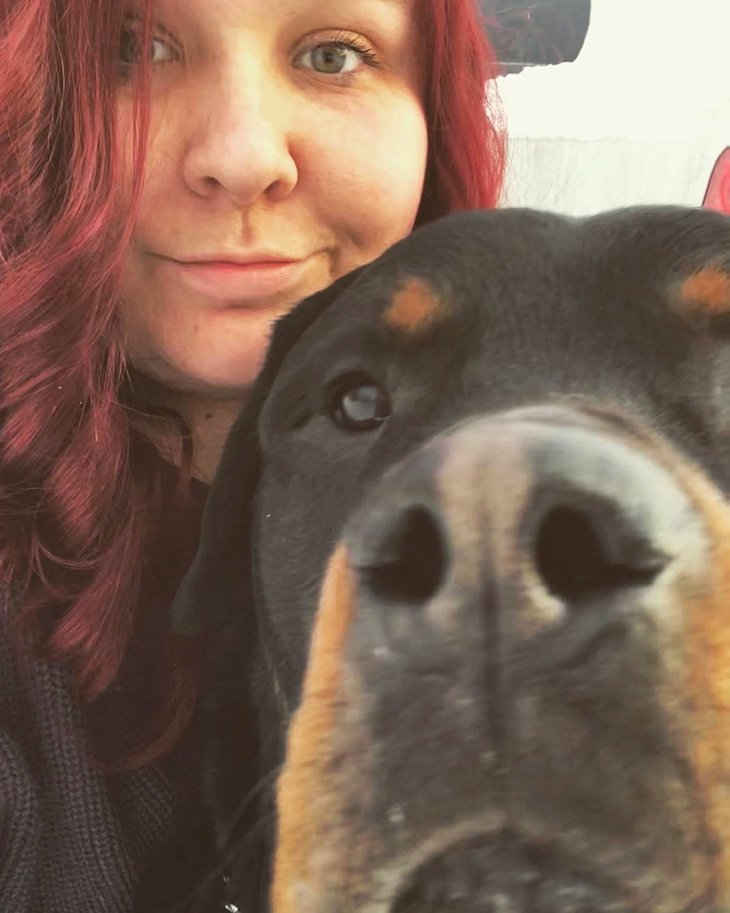 Dexter is registered to the contest to win money with this photo: beauty, carnivore, companion_dog, dog, dog_breed, ear, eye, eyebrow, eyelash, face, fawn, gesture, hair, happy, iris, jaw, lip, nose, smile, working_animal