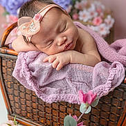 Bella Rose joined the competition — help win amazing prizes! newborn, baby, sleeping, headband, flower, basket, purple, lavender, blanket, soft, portrait, closeup, resting, infant, cute, pink, decor, floral, peaceful, indoors