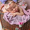 newborn, baby, sleeping, headband, flower, basket, purple, lavender, blanket, soft, portrait, closeup, resting, infant, cute, pink, decor, floral, peaceful, indoors